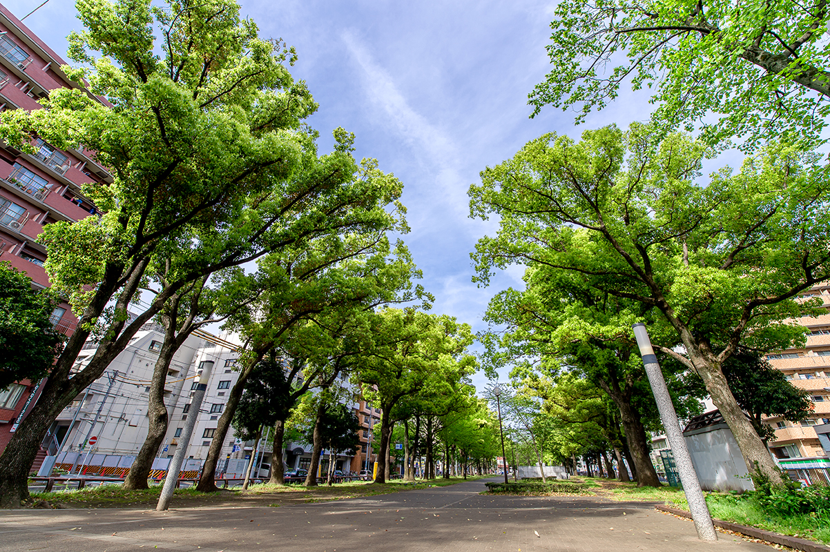 環境公園.jpg